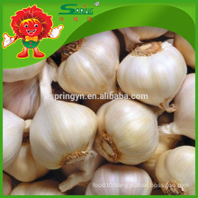 Chinese White Pure Garlic Healthy Oraganic Food